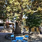 Traditional Stone * Agios Andreas (Magnesia)